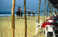 Horseback riding at Barra de Potosí Horseback riding at Barra de Potosí