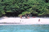 Un d&iacute;a en para&iacute;so en Playa Manzanillo, Zihuatanejo