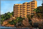 Palmetto Apt. 214